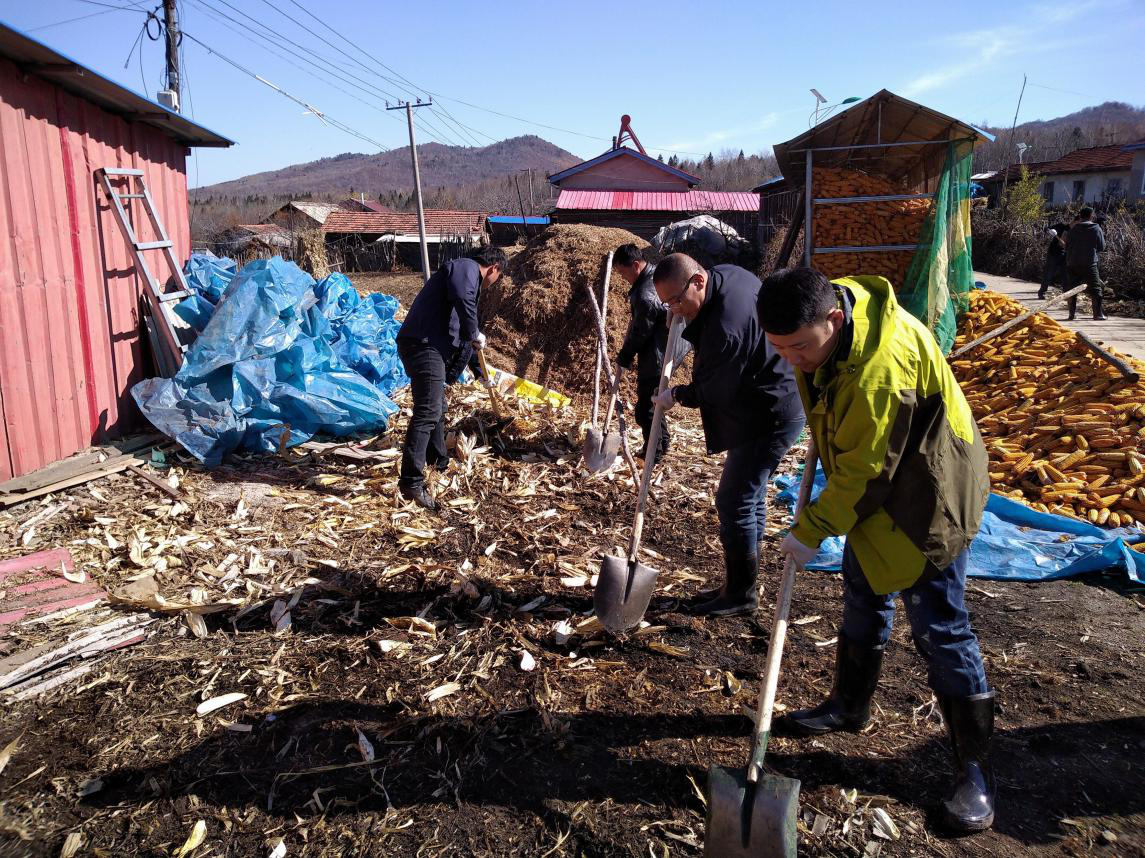 临江市行政审批局响应诚信、生态城市号召深入包保村开展秋收后环境整治活动