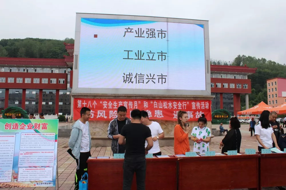 临江市举办“全国信用记录关爱日”主题 宣传活动