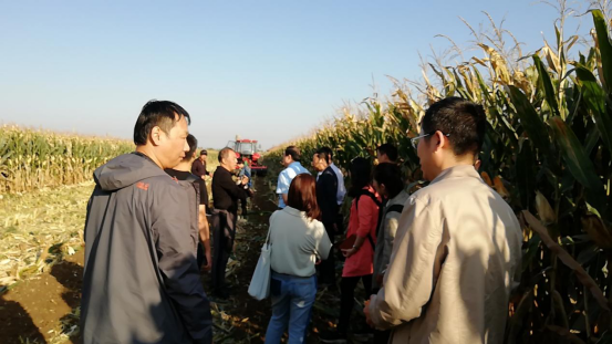 国家粮食和物资储备局调研组来我县调研