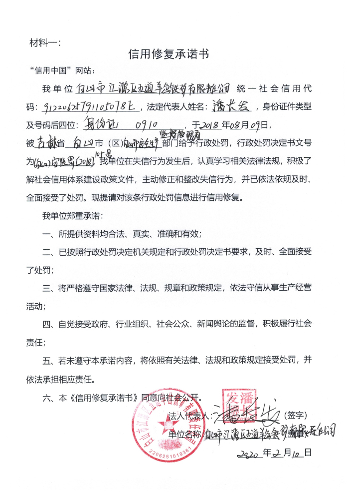 白山市江源区五道羊岔铁矿有限责任公司.jpg