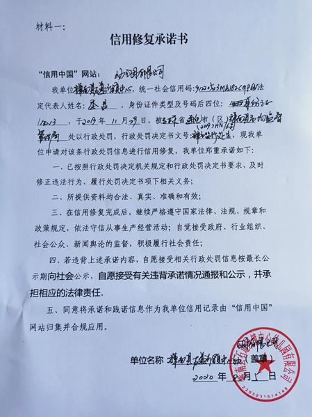 辉南县石道河镇中心幼儿园有限公司 (Copy).jpg