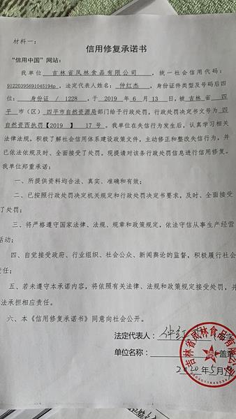 吉林省红嫁衣食品有限公司 (Copy).jpg
