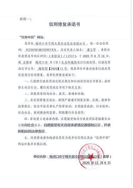 梅河口市宁辉天泉冷冻饮品有限公司 (Copy).jpg