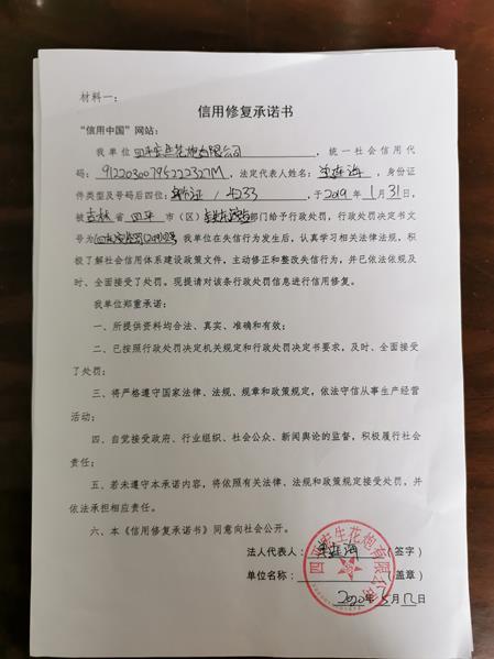 四平宏生花炮有限公司 (1) (Copy).jpg