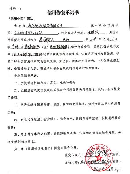 通化钢铁股份有限公司 (Copy).jpg