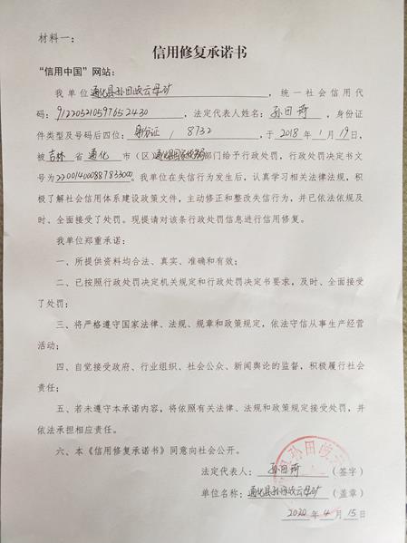 通化县孙田岐云母矿 (Copy).jpg