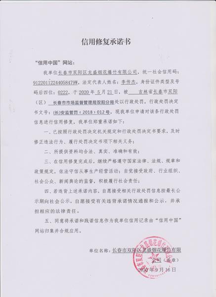 长春市双阳区龙盛烟花爆竹有限公司 (Copy).jpg