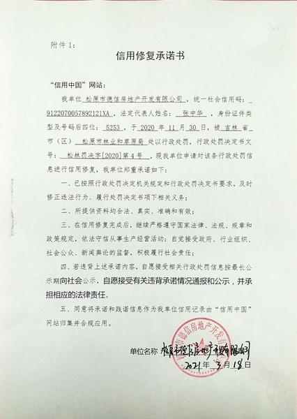 松原市德信房地产开发有限公司.jpg